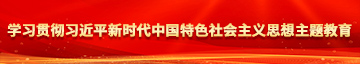 肥婆bbw学习贯彻习近平新时代中国特色社会主义思想主题教育